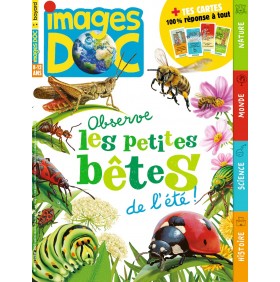 IMAGES DOC