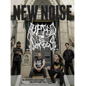 NEW NOISE