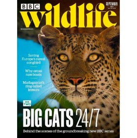 BBC WILDLIFE