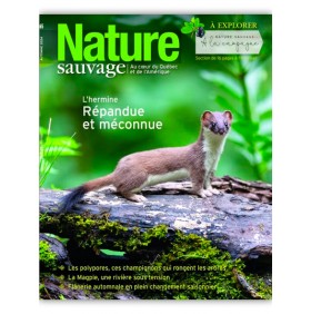 NATURE SAUVAGE