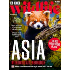 BBC WILDLIFE