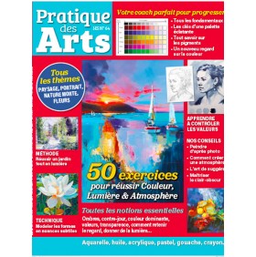 PRATIQUE DES ARTS