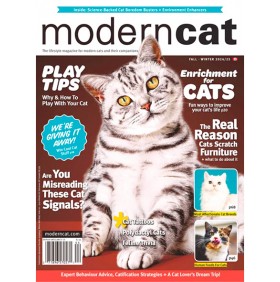 MODERN CAT