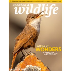 CANADIAN WILDLIFE