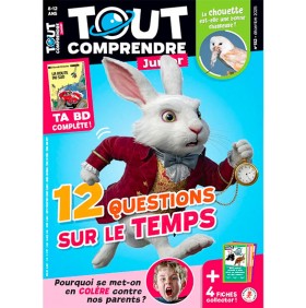 TOUT COMPRENDRE JUNIOR