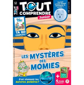 TOUT COMPRENDRE JUNIOR