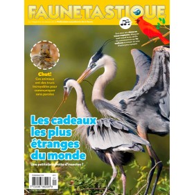 FAUNETASTIQUE