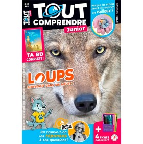 TOUT COMPRENDRE JUNIOR