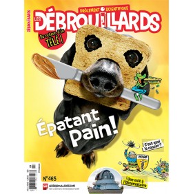 LES DEBROUILLARDS