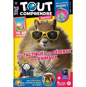 TOUT COMPRENDRE JUNIOR