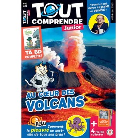 TOUT COMPRENDRE JUNIOR