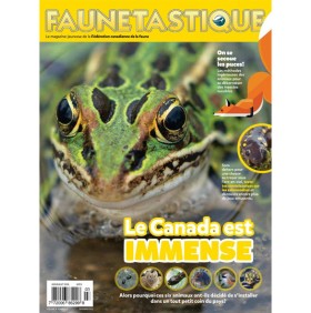 FAUNETASTIQUE