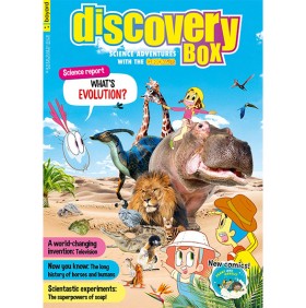 DISCOVERY BOX