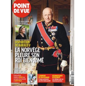 POINT DE VUE