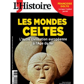 HISTOIRE (L')