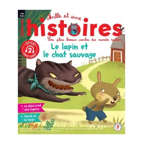 MILLE ET UNE HISTOIRES