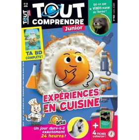 TOUT COMPRENDRE JUNIOR