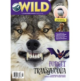 WILD