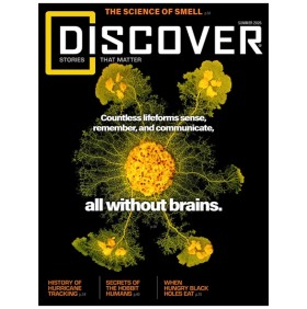 DISCOVER